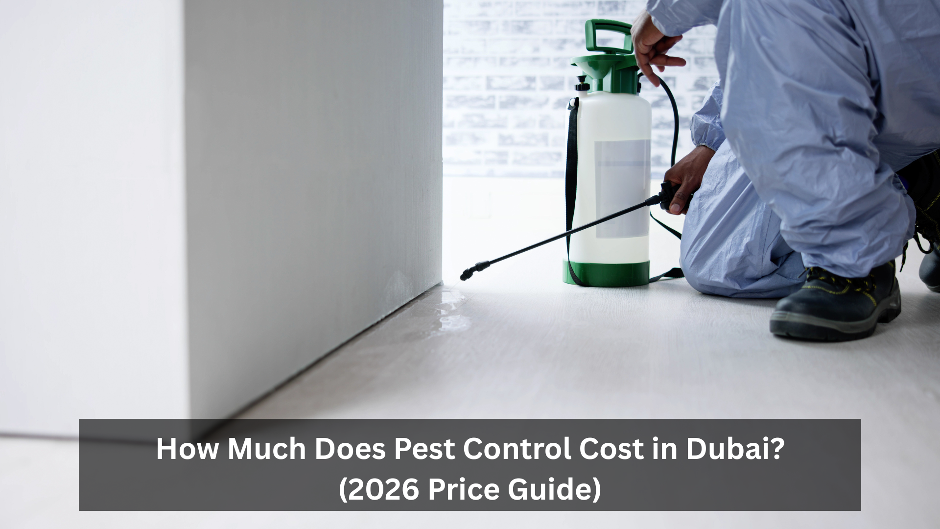 How Much Does Pest Control Cost in Dubai